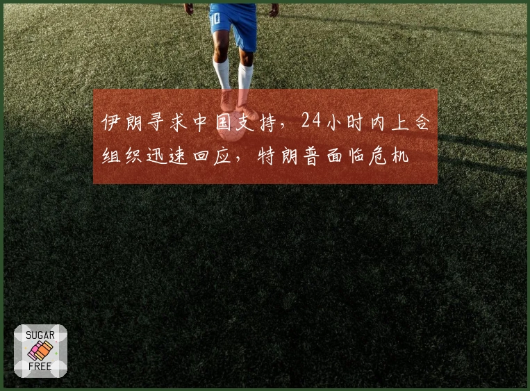 伊朗寻求中国支持，24小时内上合组织迅速回应，特朗普面临危机