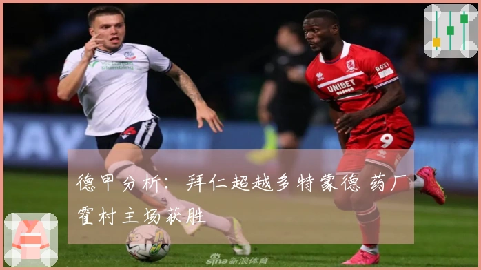 德甲分析：拜仁超越多特蒙德 药厂霍村主场获胜